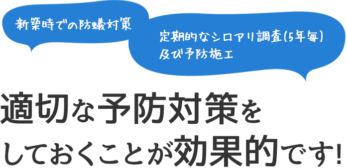 新築時での防蟻対策 定期的なシロアリ調査（5年毎）及び予防施工 適切な予防対策をしておくことが効果的です